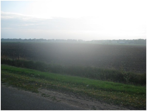 584x433 pixels (59K)